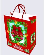 Shopping Gift Bag